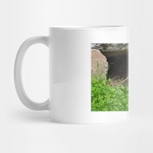 Tasmanian Devil Mug